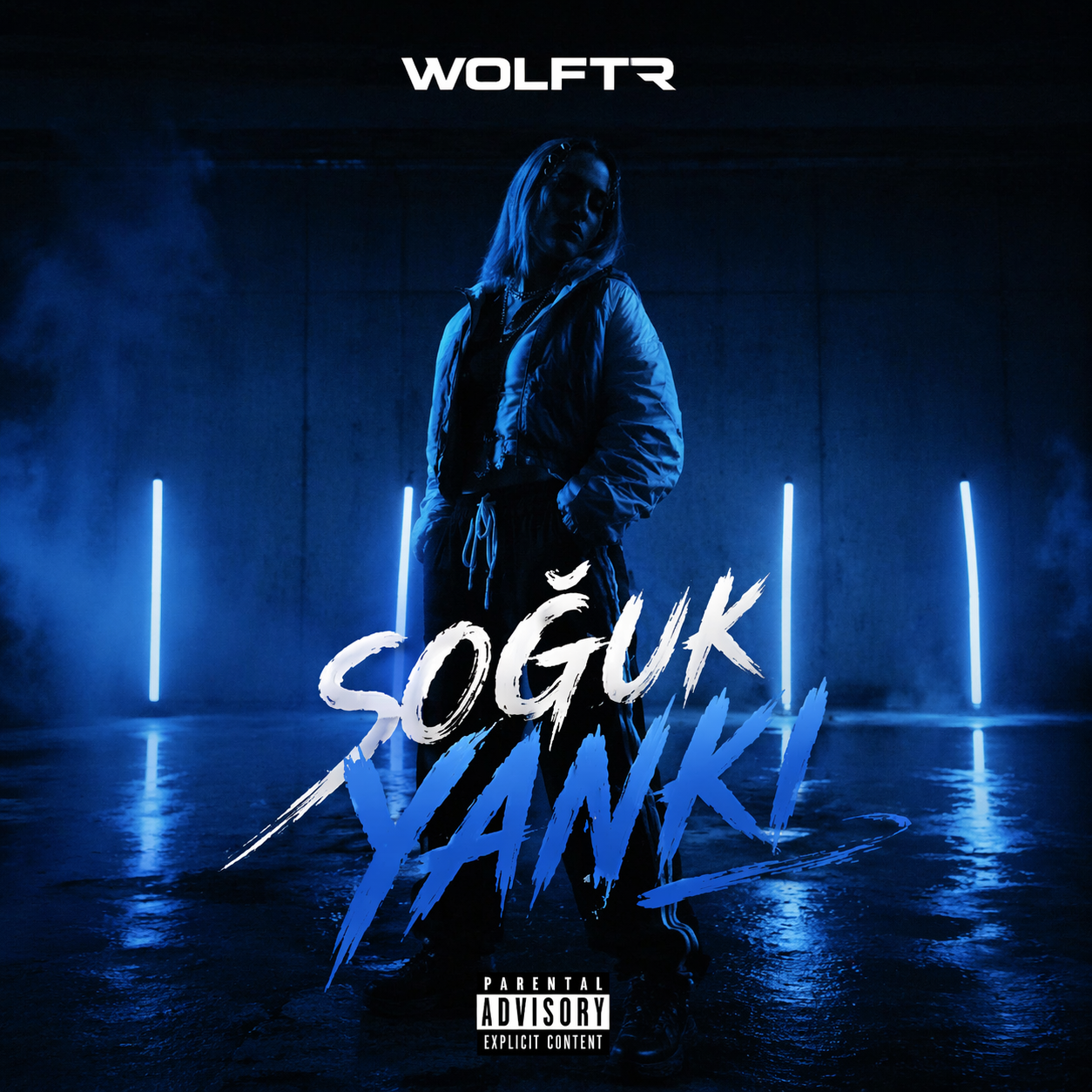 Soğuk Yankı kapak görseli